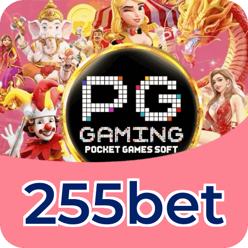 Comparação APP mobile vs versão web da 255bet